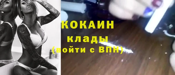шишки Гусь-Хрустальный