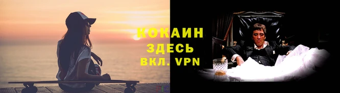 шишки Гусь-Хрустальный