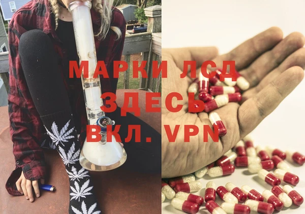 эйфоретик Сосновка