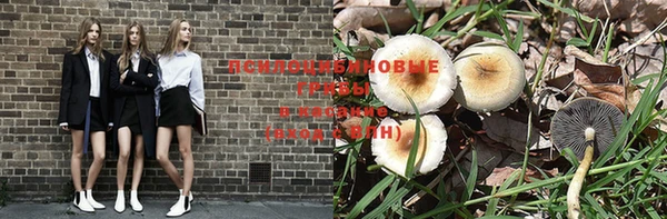 шишки Гусь-Хрустальный