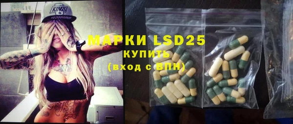 шишки Гусь-Хрустальный