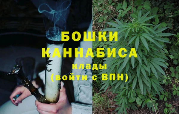 шишки Гусь-Хрустальный