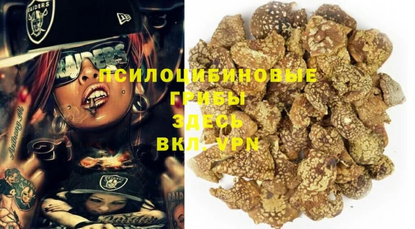 первитин Гусиноозёрск