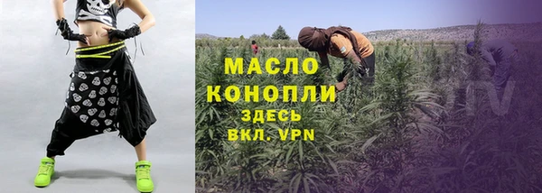 шишки Гусь-Хрустальный