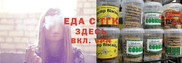 шишки Гусь-Хрустальный