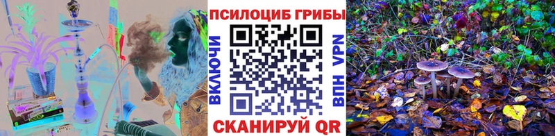 Псилоцибиновые грибы ЛСД  Полтавская 